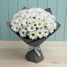 Букет цветов из:  Хризантемы #REPLACE_PRED# Касли