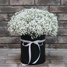 Цветочная композиция из Гипсофила в шляпной коробке #REPLACE_PRED# Касли