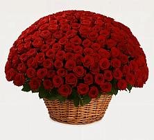 Премиум букет из: Розы в Касли