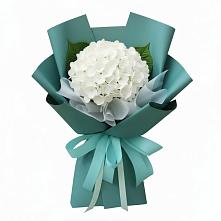 Букет цветов из:  Гортензия в Касли